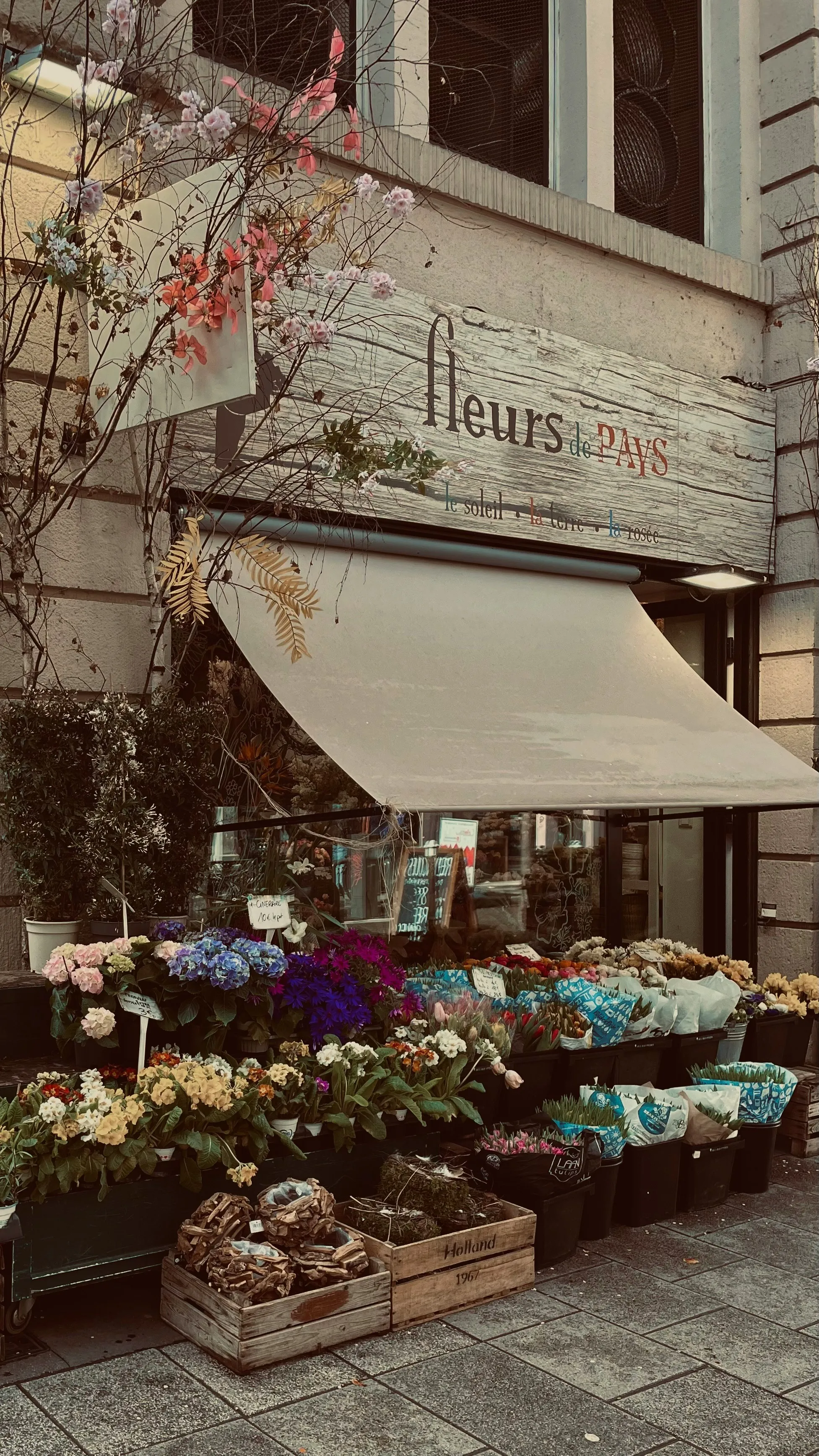 Floristerías Hero
